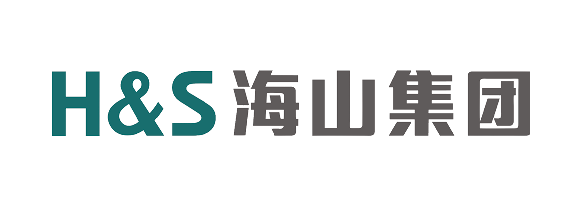 Grupo H&S Logo